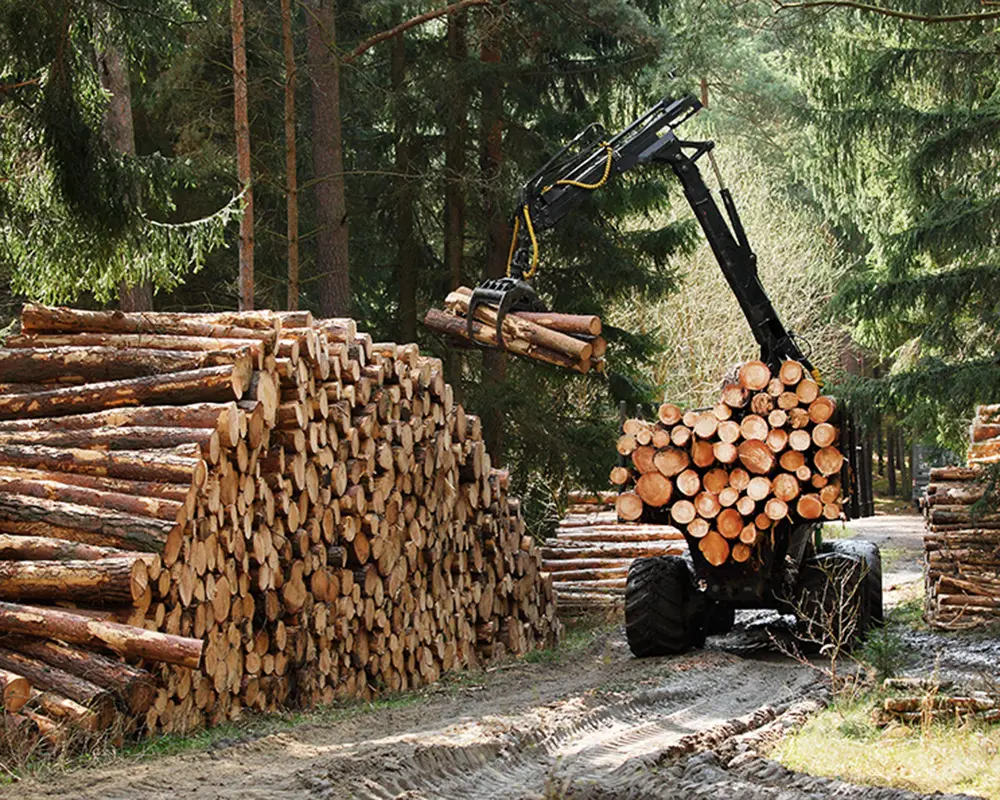 Bild eines Harvesters im Wald vor einem Holzpolter
