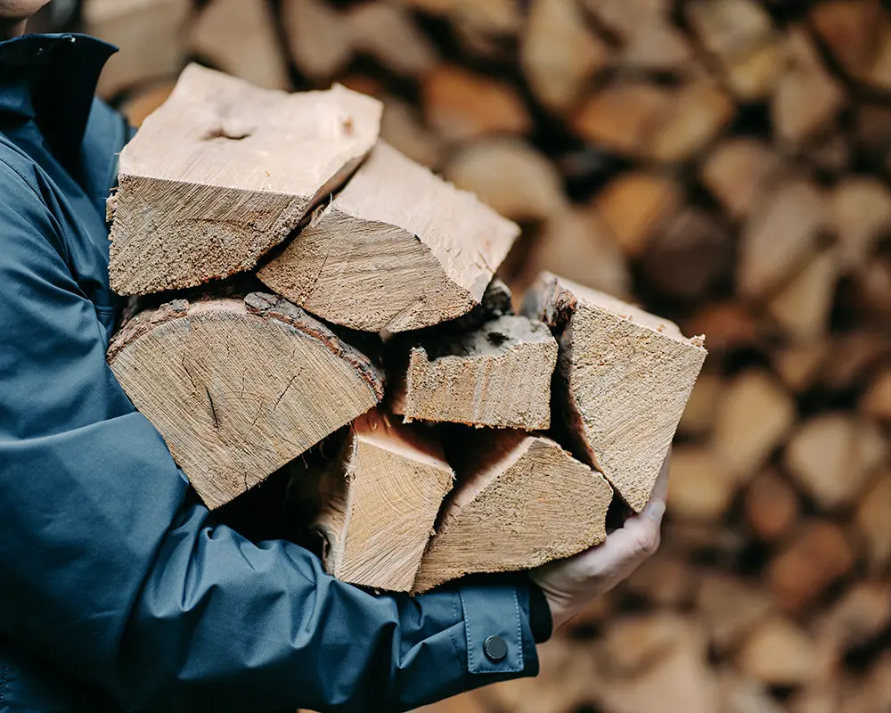 Ein Arm voll Brennholz aus Nadelholz